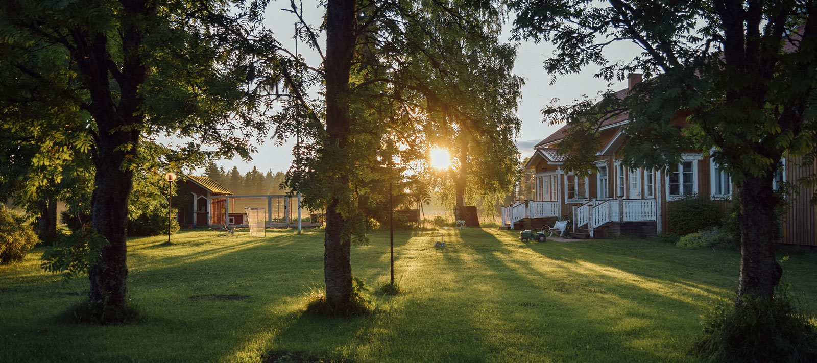Puutalo ja vehreä piha kesäillan auringonvalossa.