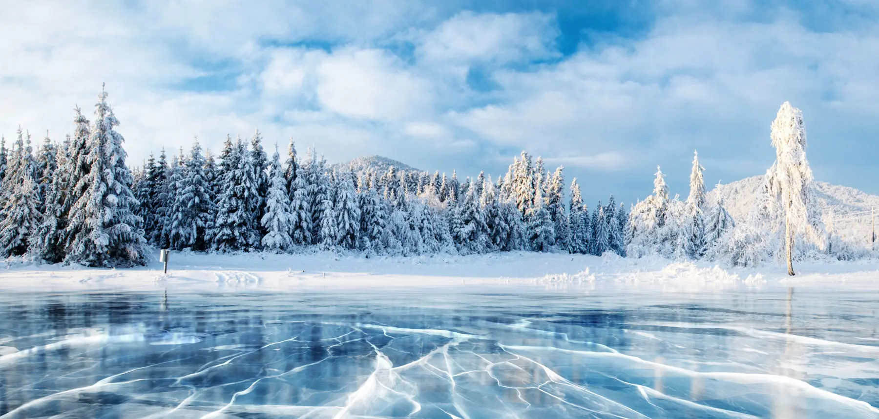 Kirkas jää järvessä ja talvinen metsä.