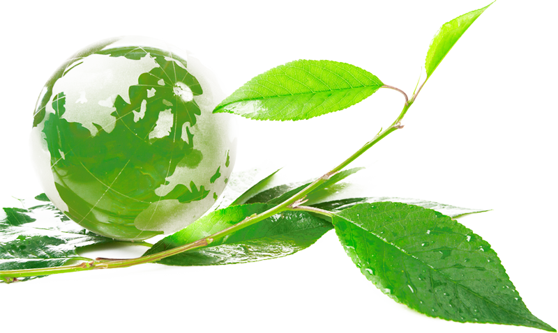 Vihreitä arvoja kuvaava kuvituskuva, jossa vihreä puun lehti, jossa vihreä maapallo sisällä.