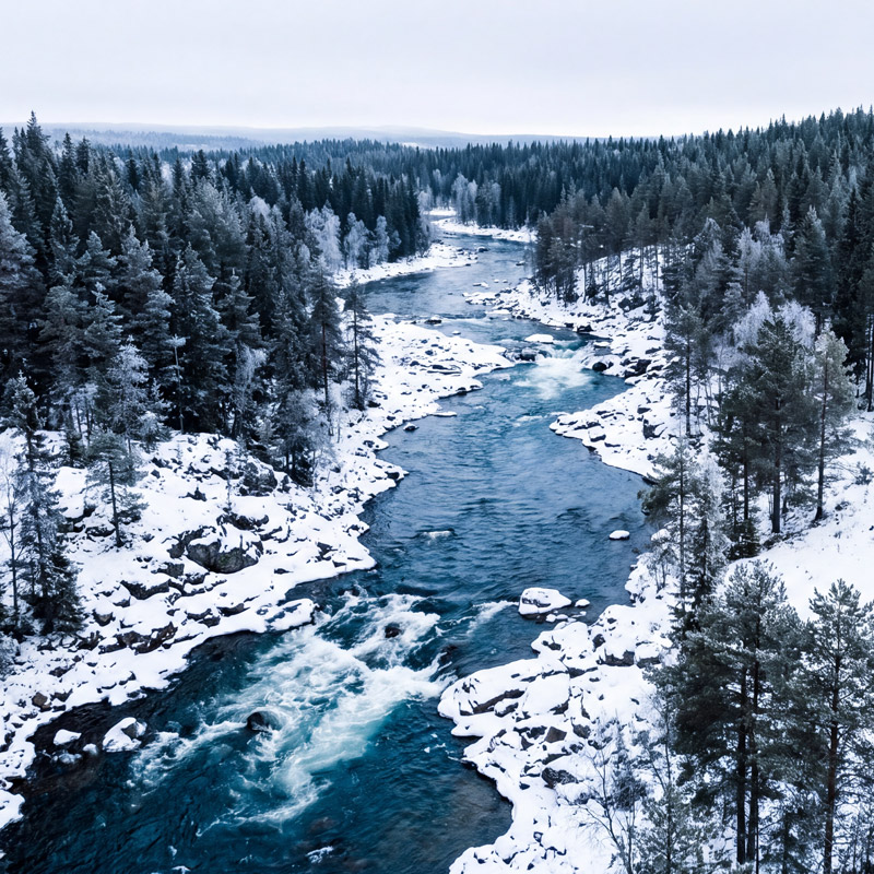 Joki virtaa lumisen havumetsän halki talvimaisemassa.